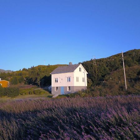 Steinbakk - Vestresand Lofoten Villa Bostad Esterno foto