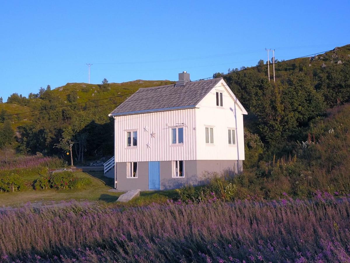Steinbakk - Vestresand Lofoten Bostad Esterno foto