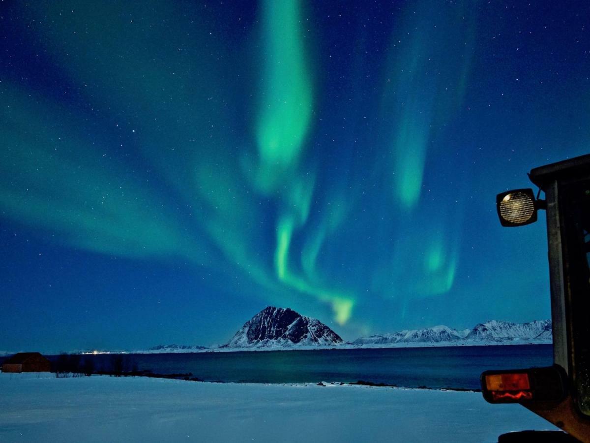 Steinbakk - Vestresand Lofoten Bostad Esterno foto