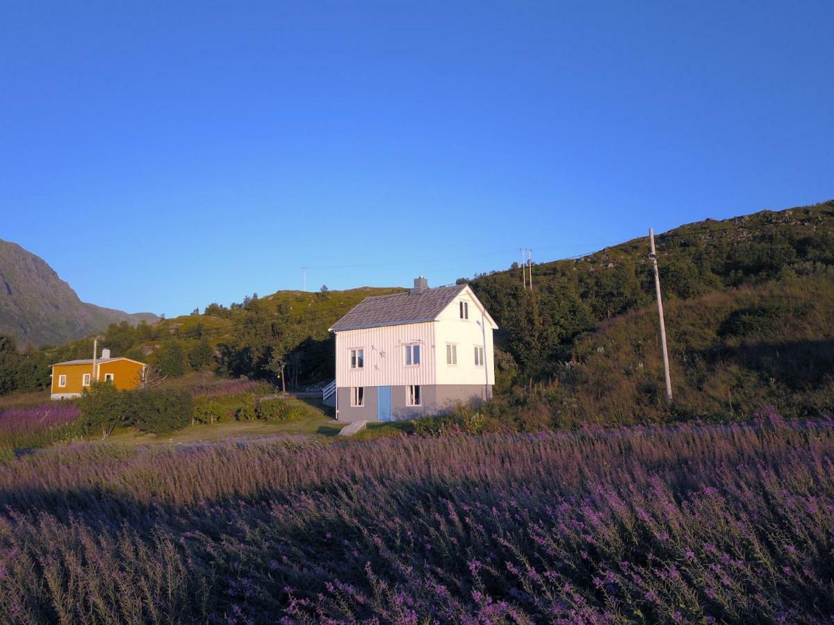 Steinbakk - Vestresand Lofoten Villa Bostad Esterno foto