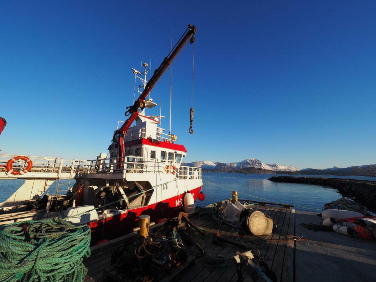 Steinbakk - Vestresand Lofoten Bostad Esterno foto